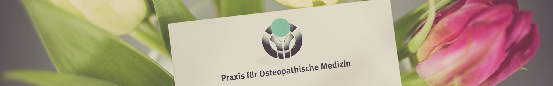 Osteopathie Lindenbaum